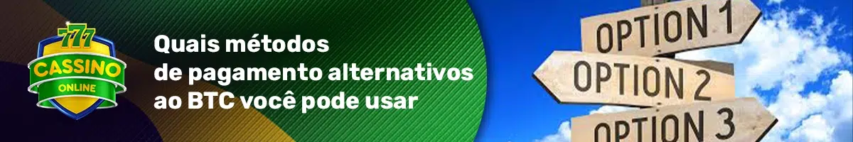 Quais métodos de pagamento alternativos ao BTC você pode usar?